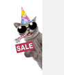 Happy cat wearing sunglasses and party cap blows in party horn and shows signboard with labeled 