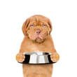 Sad hungry puppy with open mouth holds empty bowl. isolated on white background