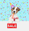 Happy jack russell terrier puppy wearing party cap blows into party horn, holds gift box and looks above empty white banner and showing signboard with labeled 