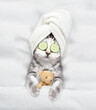 Cute kitten with towel on his head and  with cream on his face and with a pieces of cucumber on his eyes relaxing on the bed at home with toy bear. Top down view