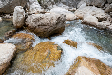 Wall Mural - mountain river stream