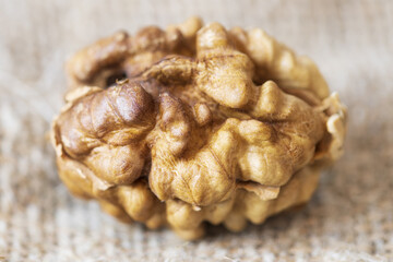 Poster - walnut kernel close-up natural. horizontal frame