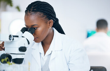 Poster - Medical science, black woman and microscope in laboratory for research, analytics and medicine. Woman, doctor and scientist study at work for an investigation, healthcare and futuristic mock up space