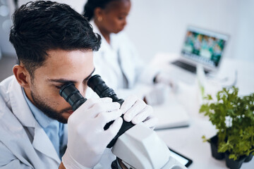 Aufkleber - Science, research and male scientist with a microscope for an analysis, test or experiment in medical lab. Innovation, biotechnology and man pharmaceutical researcher or expert working in laboratory.