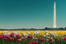 National Mall Lincoln Memorial Washington Monument Obelisk And United States Capitol Building Behind The Tulips. Generative AI