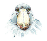 Fototapeta  - Shoebill. Pattern with bird. Watercolor hand drawn illustration
