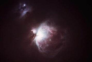 Wall Mural - starless m42 orion nebula wallpaper