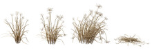 Savanna Dried Grass Field Cutout Backgrounds 3d Illustration Png