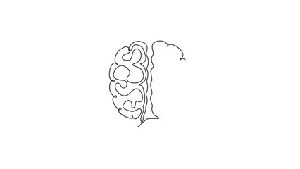 Poster - Animated self drawing of one continuous line draw human brain anatomy icon logo emblem. Medical organ for neurology knowledge symbol logotype template concept. Full length single line animation.