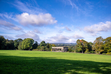 Wall Mural - the warm summer sun lighting up a green field and trees in a managed wood in the english countryside