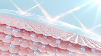 Poster - 3D Rendering skin cells with UV protection. Skin cell sagging is reduced by serum through the skin. moisturizer for lighting Bright skin tone replaced the dark.