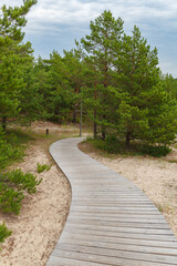 Wall Mural - Wooden path on the beach surrounded by pine trees and going over sand dunes