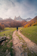 Hiker Walking On Pathway Between Autumn Trees In Mountains