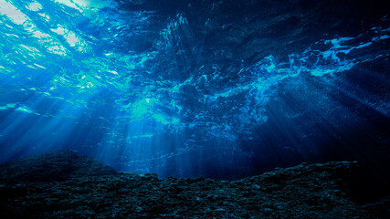 Wall Mural - Artistic underwater photo of magic landscape in rays of sunlight