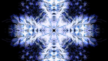 Poster - Ornamental mandala. Blue color structure. Loop Animation