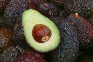 Wall Mural - Stack of avocados on a market stall