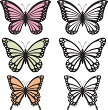 A Set Of Bright Butterflies Isolated On A White Background. Vector Illustration.