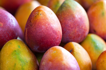 Wall Mural - Stack of mangoes for sale on a market stall