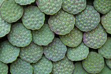 Stack Of Lotus Seed Pods On A Market Stall