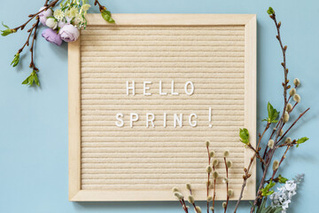 Letter Board with quote HELLO SPRING, with green branches and flowers on a blue background, minimalism style composition. Springtime welcome concept. View from above.