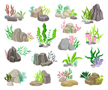 Grey Boulder And Sea Stones With Seaweeds And Algae Big Vector Set