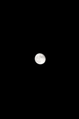 Wall Mural - Full moon in the black night sky