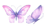 Fototapeta Motyle - Watercolor illustration of delicate pink butterflies. For banner design, postcards