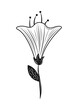 flower leaf colorless icon