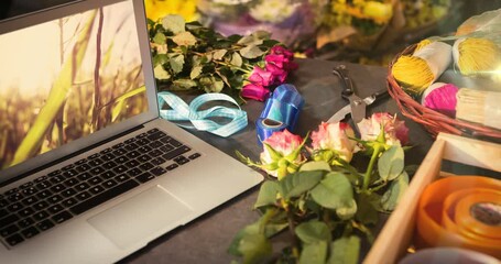Poster - Animation of grass on laptop screen on desk