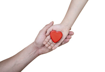 beautiful red heart in the hands of a child and his father - transparent png