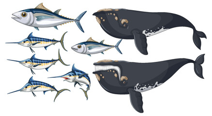 Wall Mural - albacore fish and bowhead whale and atlantic blue marlin