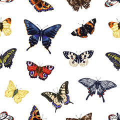 Poster - Butterflies pattern. Seamless repeating print, moths background. Spring tropical winged insects flies, texture design drawn in vintage retro style. Realistic colored vector illustration for wallpaper