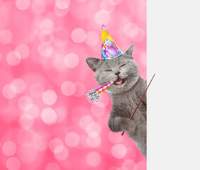 Poster - Happy cat wearing party cap looks from  behind empty white banner and points on empty banner.  Shade trendy color of the year 2023 - Viva Magenta background. Empty space for text