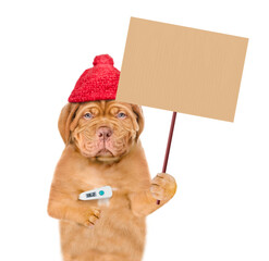 Poster - Unhappy sick puppy wearing winter hat holds thermometer and shows empty placard. isolated on white background