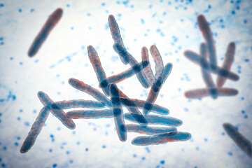 Wall Mural - Mycobacterium ulcerans, the causative agent of Buruli ulcer, 3D illustration