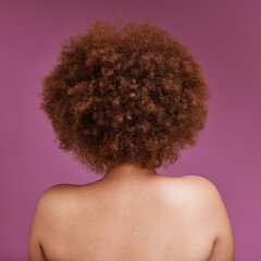 Canvas Print - Rear view, black woman and afro of hair in studio for ethnicity texture, headshot and pink background. Back of african model, curly haircare cosmetics and beauty for skincare, scalp and salon shampoo