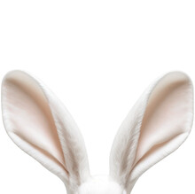 PNG White Easter Rabbit Ears Isolated