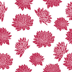  Vector Seamless pattern with chrysanthemums. Chrysanthemum flowers. Pink flowers background vector. Vector of chrysanthemums.Viva Magenta.
