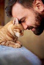 Muzzle Of A Red Cat And A Man's Face. Close-up Of Handsome Young Beard Man And Tabby Cat - Two Profiles. Pets And Humans Friendship, Love And Trust Concept