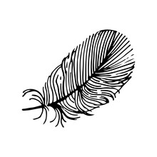 Feathers Drawn By Hand. Vector Doodles For Pattern Design In Boho Style