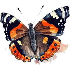 Aufkleber - Watercolor illustration of Red Admiral Vanessa atalanta butterfly. Hand-drawn illustration isolated on white background in boho style.