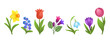 © Cute Design - Cartoon spring flowers isolated on white background. Bright floral design. Early springtime flower bloom. Crocus, snowdrop, daffodil, tulips, forget-me-nots, pulmonaria. Vivid colorful plant clip art.