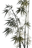 Fototapeta Sypialnia - bamboo tree transparent background, ai generated
