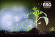 young green plants growing at sunlight Environment technology Infographics hologram Green energy technology concept Close up ESG