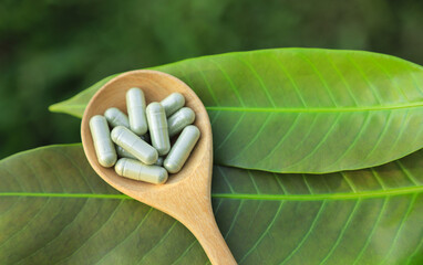 Herbal medicine in capsules from herb leaf on rustic wooden table with copy space for medical background. healthy eating with natural product for good living.