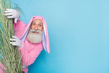 Photo of positive cute retired man wear pink hare pajama hiding plant empty space isolated blue color background