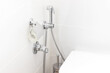 Details in a bright modern bathroom: toilet paper holder, hygienic shower
