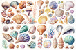 Watercolor illustration of shells collection on white background - AI generative