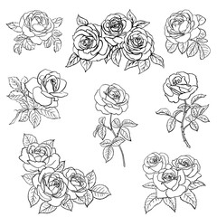 Sticker - Set Rose sketch. Black outline on white background. Vector illustration.