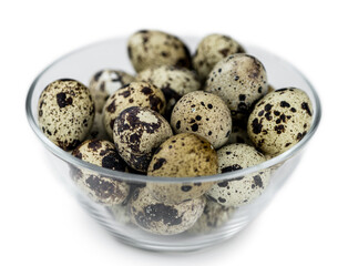 Wall Mural - Cooked Quail Eggs on transparent background (selective focus)